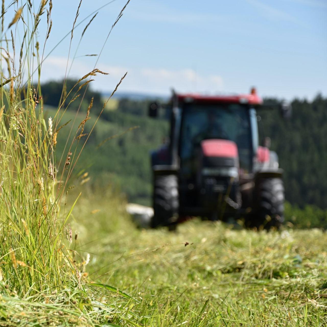 Un tracteur en train de faucher