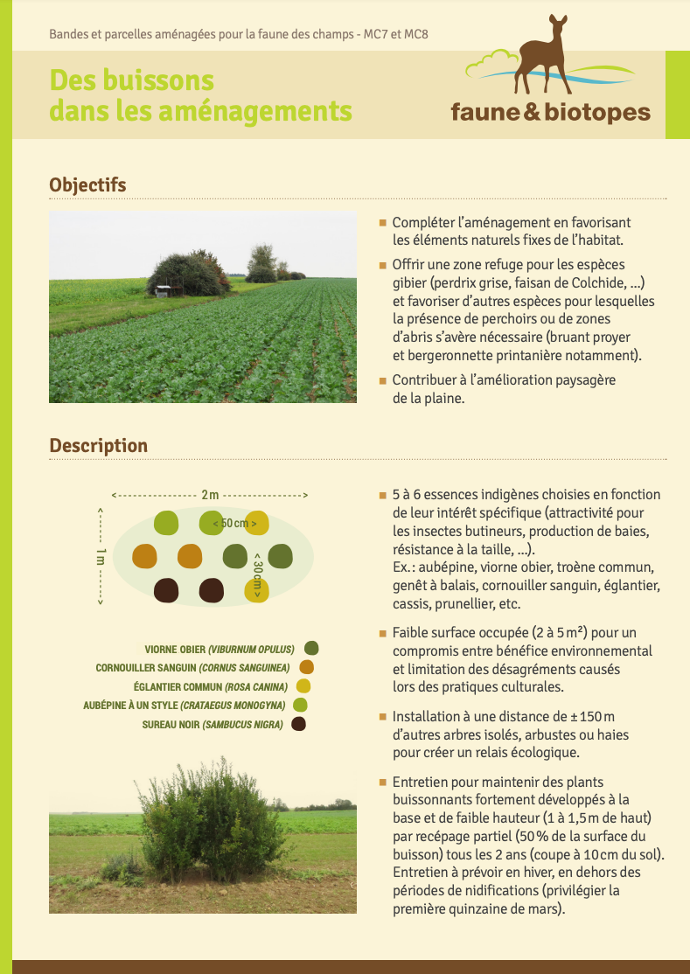 Fiche technique "Buissons"