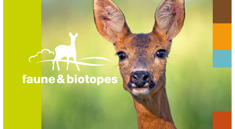 Faune & Biotopes