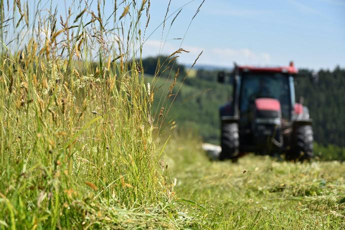 Tracteur fauchant du blé