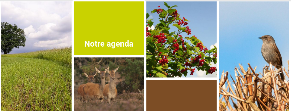 Notre agenda