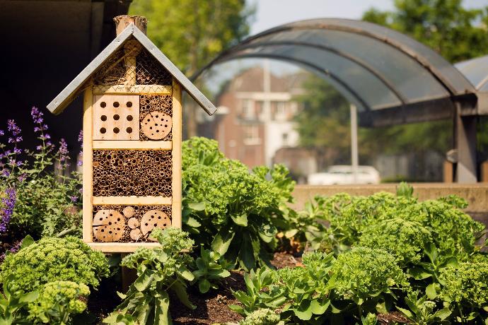 Hôtel à insectes dans un espace public