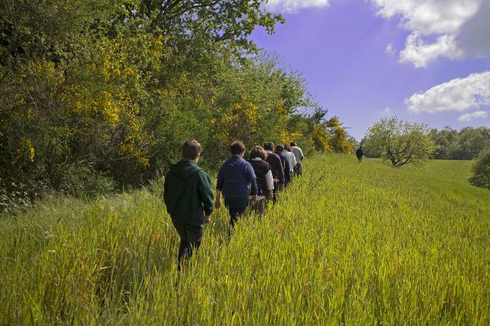 File de gens se promenant en bordure de champ